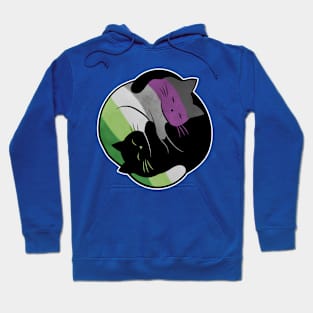 Aroace Yin Yang Cat LGBT Asexual Aromantic Pride Flag Hoodie